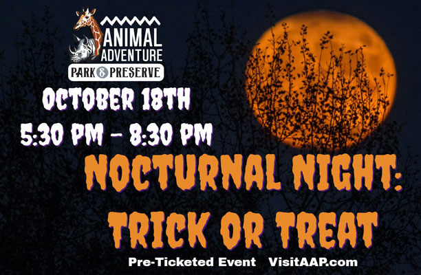 Nocturnal Night: October 17th